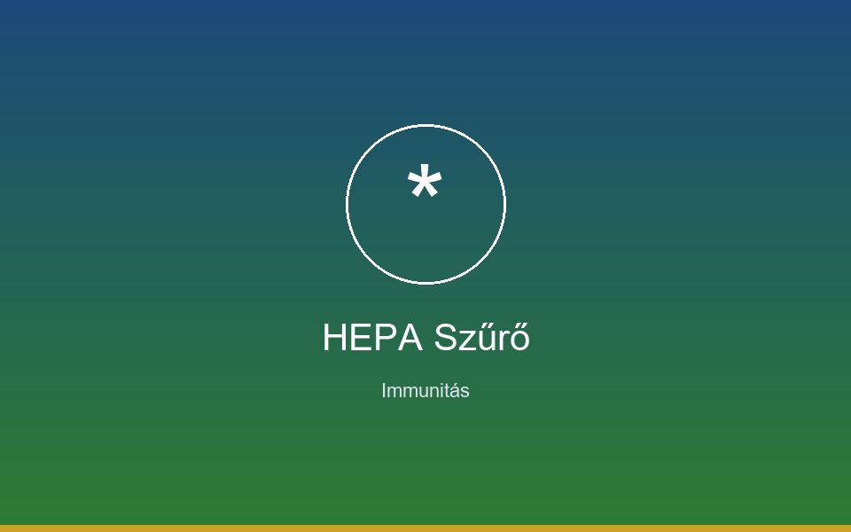 HEPA Szűrőbetét